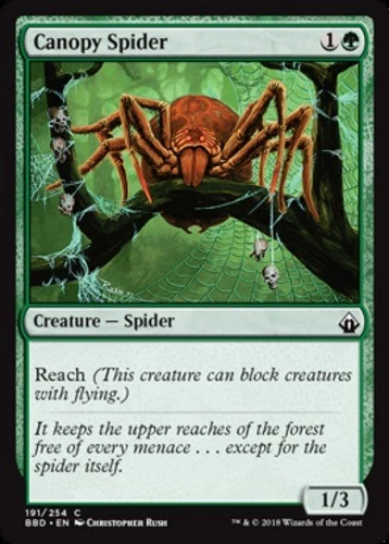 x1 Canopy Spider - Battlebond - NM - MTG - Image 1 of 1