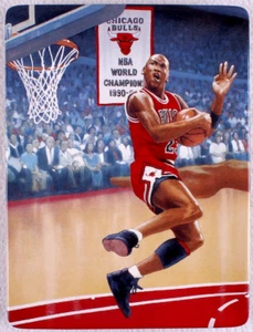 Michael Jordan " TAKING IT HIGHER " collectors plate With COA - Picture 1 of 3