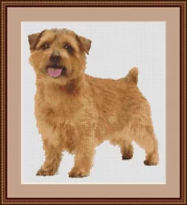 Kit de punto de cruz para perro Norfolk Terrier - Imagen 1 de 2