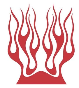 CAPOTA DE LLAMA #H52 CALCOMANÍA VINILO GRÁFICO COCHE CAMIÓN VEHÍCULO BOMBEROS AUTO FURGONETA SUN BLAZE - Imagen 1 de 2