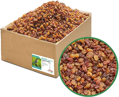 Rosinen Speisequalität ungeschwefelt Premiumware von Paul's Mühle - Bild 1 von 3