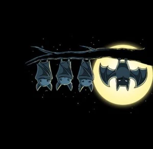 Batman Dark Knight NIGHT Artistic Bats VERY COOL Satire Teefury Ladies Shirt - Picture 1 of 1