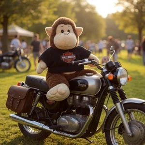 Camiseta Harley-Davidson Mono Marrón Peluche Peluche Escudo Logo Usada en Excelente Condición - Imagen 1 de 7