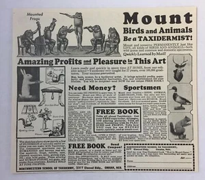 Anuncio 1933 ~ Escuela de Taxidermia del Noroeste ~ Ranas montadas - Imagen 1 de 1