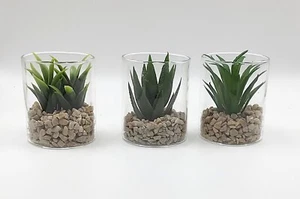 Artificial Realistic Potted Plants in Clear Cylindrical Mini Glass Pots x 3 - Picture 1 of 6