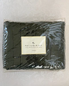 Pottery Barn Silk Channelstitch Quilted Pillow Sham Standard Size Green NEW - Picture 1 of 6