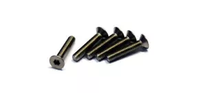 TAMIYA RC Model 3x16mm Titanium Hex Head Screw (5pcs) 53538 - Picture 1 of 1