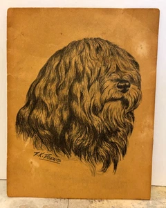 Vintage Briard Hund Kunstdruck signiert D.K. Dennis 4,25"x5,5" Tibet Terrier Schaf? - Bild 1 von 4
