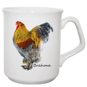 Brahma mug Chicken poultry gift idea hen cock cockerel fancy fowl - Picture 1 of 1