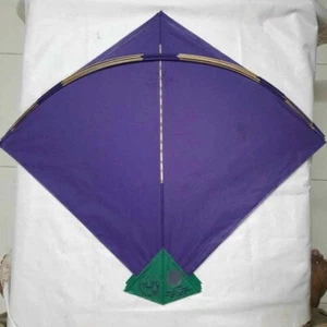TreegoArt Best Indian Kite Patang , Multicolor (Pack of 30) Freeship - Picture 1 of 6