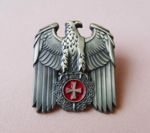 Pin REICHSADLER und EK Militaria EK Eisernes Kreuz Militaria - 348A - Picture 1 of 1