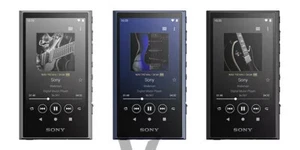 Sony Walkman NW-A306 32G Negro Azul Gris Música Sin Caja Original - Imagen 1 de 8