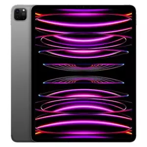 Apple iPad Pro 12,9 Zoll 6. Generation A2436 Wi-Fi Only 256GB Space Grau - Bild 1 von 1