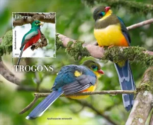 TROGONS Trogon Tropical Birds/Bird MNH 1v-Stamp Sheet #2088 (2022 Liberia) - Picture 1 of 1