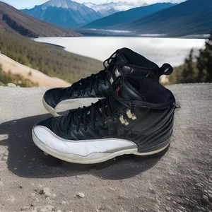 Size 10.5 - Nike Air Jordan 12 Retro Playoff Men's CT8013-006 Shoes Casual Gym - Picture 1 of 24