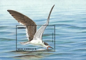 Mozambique 2002 - Birds - Souvenir Stamp Sheet - Scott #1586 - MNH - Picture 1 of 1