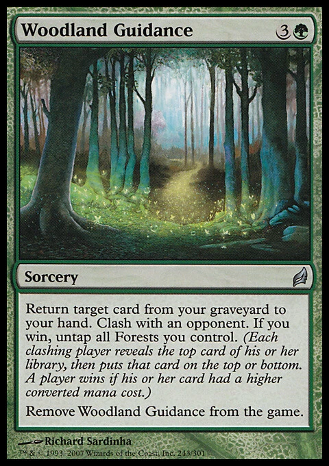 Magic the Gathering MTG Woodland Guidance (243) Lorwyn   LP - Image 1 of 1