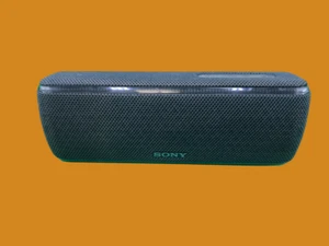 Altavoz portátil inalámbrico Bluetooth Sony SRS-XB31, negro, usado - Imagen 1 de 8
