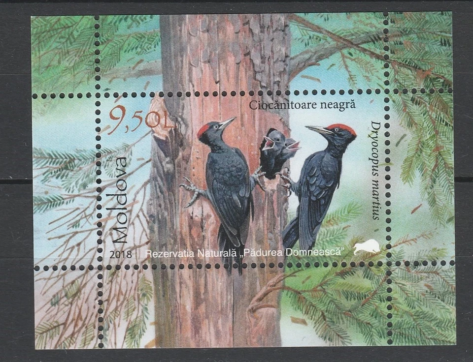 Moldova 2018 Birds, Woodpecker MNH Block - Image 1 of 1