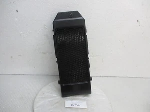 Honda VT 750 SCHATTEN 2004 KÜHLER (21701) - Bild 1 von 9