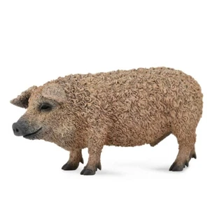 Collecta Farm Life Model 88674 - Hungarian Pig - Picture 1 of 1
