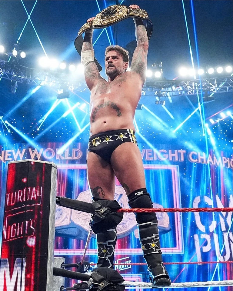 См панк Коди Родс WWE фото фотография 11 x 17 плакат печать новый чемпион см панк - Изображение 1 из 1