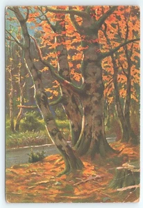 Postcard Landscape Fall Trees Painting posted 1910 Luhns Postkarte - Picture 1 of 3