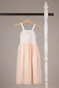 Well Dressed Wolf Dreamy Peach Maxi Size 12 NWT - Picture 1 of 2