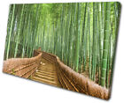 Bamboo Forest Steps Asian Landscapes SINGLE CANVAS WALL ART Picture Print