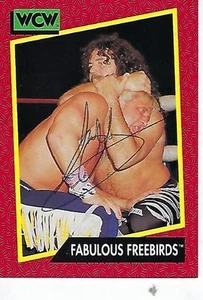 MAGNÍFICO JIMMY GARVIN FIRMADO 1991 IMPULS WCW #119 - WCW WWE - FABULOSO FREEBIRDS - Imagen 1 de 1