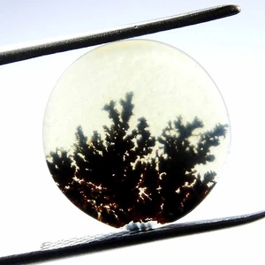 Scenic Shazar Dendrite Agate Cabochon Round Shape Natural Gemstone 4 Cts #11048 - Picture 1 of 6