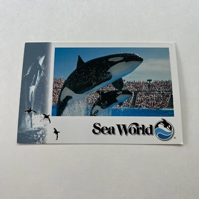 Postal Orca Killer Whale Sea World sin publicar 1995 Baby Shamu nada con Shamu Foto 1 de 3