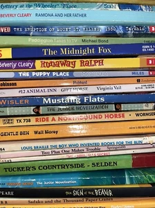 60 Chapter Books Lot For Young Readers Modern, classics, Random Mix - Picture 1 of 6