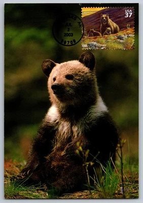 #3802e Arctic Tundra Grizzly Bear FDC Maxi Card - Image 1 of 2