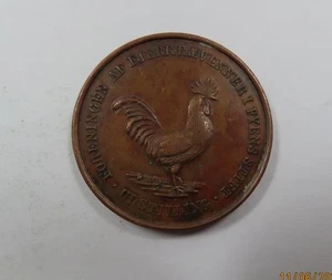 Denmark Medal 1901 The Association of Feathered Crows 1 Fyens Dift Exhibition - Picture 1 of 2