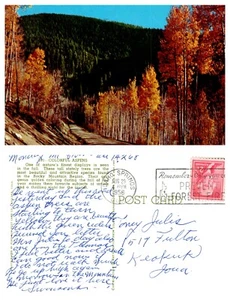 Colorful Aspens Colorado PC Vintage Cromato Pubblicato 1956 - Foto 1 di 1