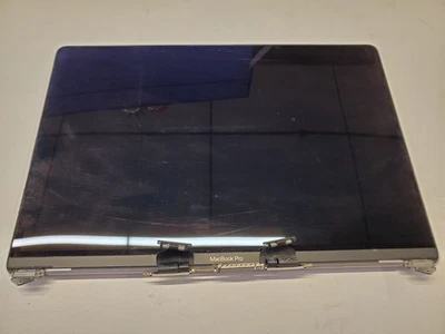 OEM Apple A1707 15" Macbook Pro LCD Screen Assembly - BAD LCD & HAIRLINE CRACK - Image 1 of 3