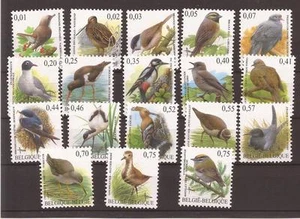 Buzin vogels in EURO2 - Foto 1 di 1