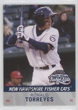 2015 Choice New Hampshire Fisher Cats Ronald Torreyes #25