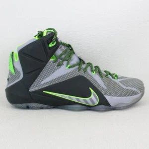 Nike LeBron 12 Dunk Force - Foto 1 di 9