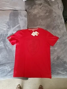Puma Ferrari Big Logo Printed Tee T-Shirt Men size M - Picture 1 of 19