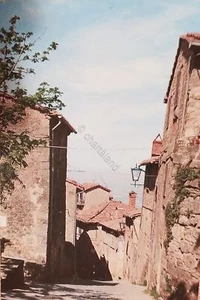 Cartolina - Cortona - Città Etrusca - Via Berrettini - 1960 ca. - Picture 1 of 1