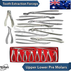 Dental Surgical Tooth Extraction Root Forceps Lower Upper Teeth Pulling Removing - Picture 1 of 12