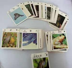 Vintage Leisure Books, Ltd Educational Animal Science Fact Cards 400 plus - Picture 1 of 3