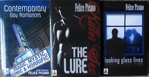 FELICE PICANO - Drei (3) Trade Paperbacks - zeitgenössische schwule Romane - Bild 1 von 9