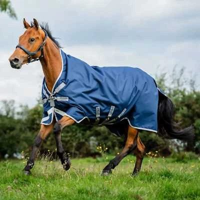 HORSEWARE IRLANDA Amigo Bravo 12 Wug 0g Azul Marino Claro/Gris Titanio/Plata Desgarrado Foto 1 de 4