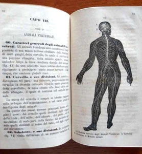 BELLARDI " Storia Naturale Applicata " 1°Ed. 1854 Mineralogia Botanica Zoologia - Foto 1 di 10