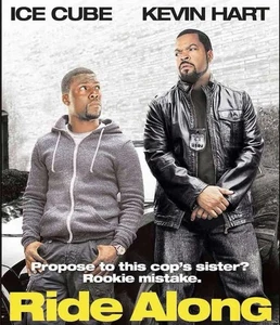 Ride Along (DVD, 2014, Anamorphic Widescreen) getestet *NUR DISC* - Bild 1 von 4