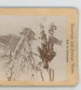 A Mess Anyway Hunting Stereoview - Picture 1 of 4