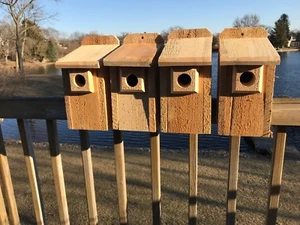 4 Pack Cedar Bluebird Bird House 3/4" THICK Cedar Birdhouse! W/ Predator Guard! - Picture 1 of 4